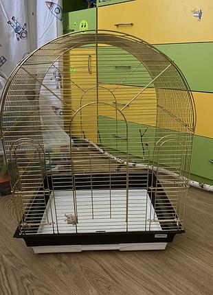 Велика золота  клітка для птахів