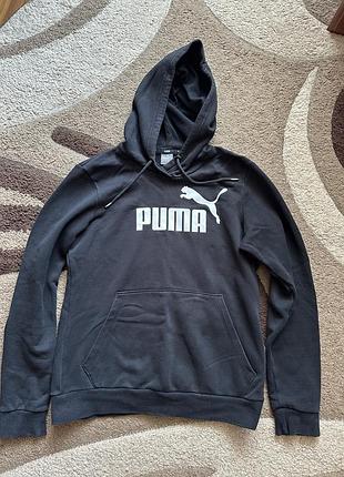 Толстовка кофта