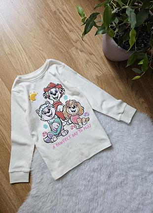 Реглан на девушку 3-4роки щенячий патруль