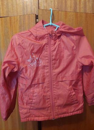 Вітровка на флісі