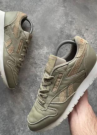 Reebok кросівки