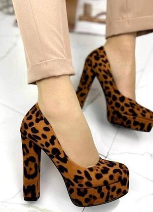 Жіночі замшеві туфлі на високих підборах stilli леопард