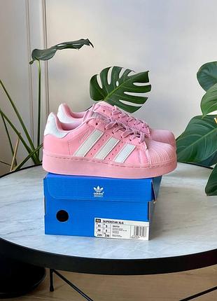 Adidas superstar platform pink