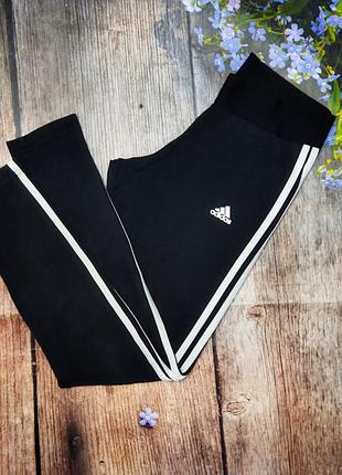 Легінси adidas