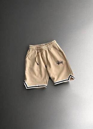 Чоловічі шорти stussy
