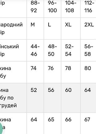 Вишиванка льон 3