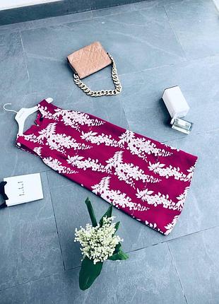 Сукня oasis в красивому кольорі