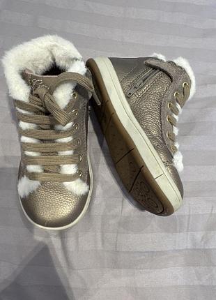 Ботинки geox, размер 26, стелька 15 см