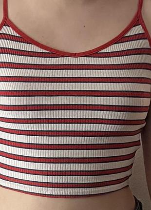 Топ полосатий