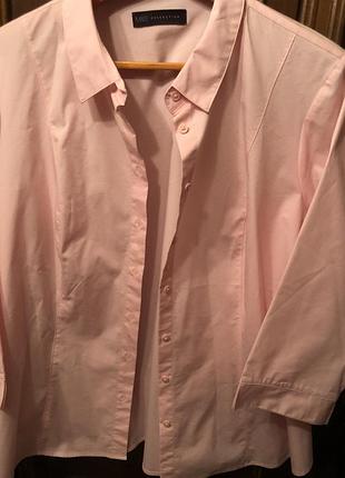 Ніжна рожева блуза