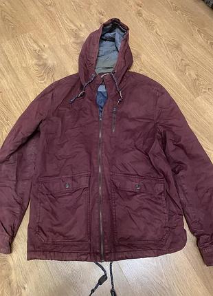 Вітровка чоловіча