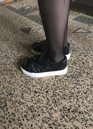 Кєди