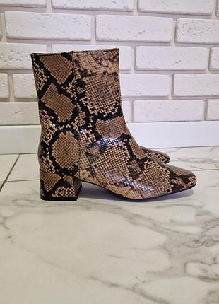 Ботильоны бежевый питон