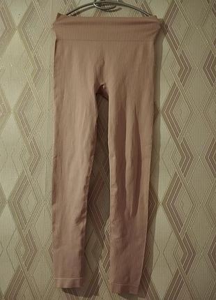 Лосіни жіночі