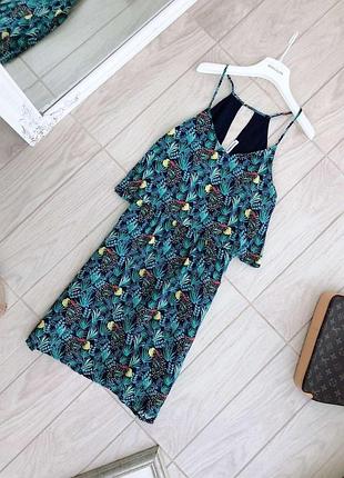 Сукня cache cache