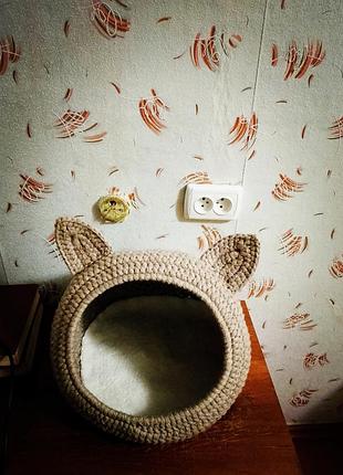 Спальне місце для кота