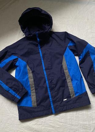 Вітровка дощовик