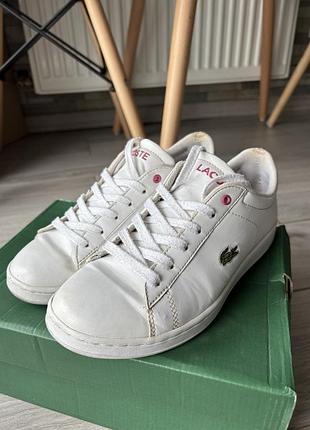 Кеди lacoste 36р.