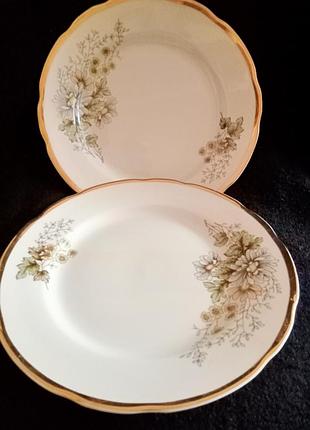 Тарілка 24 см коростень