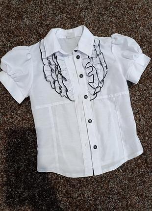 Блузка, блузочка