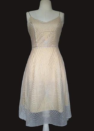 Нежное танцевальное платье балерина летнее платье праздничное платье, сарафан сетка костюм для танцев