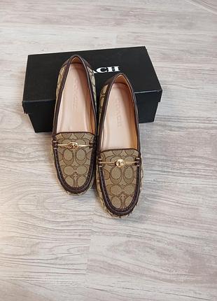 Лофери coach