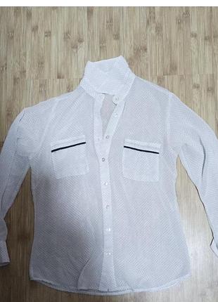 Блуза жіноча