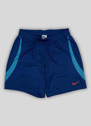 Спортивні штани nike