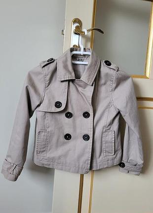 Карточка,плащівка.