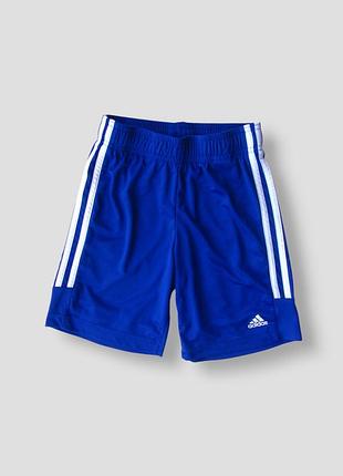 Спортивні футбольні шорти adidas aeroready