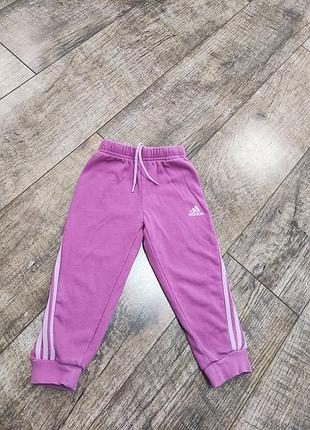 Брюки девочке, двухнитка шлевки, хлопковые, adidas, р. 86-92, 18-24мис., 1.5-2 года, длина 48см