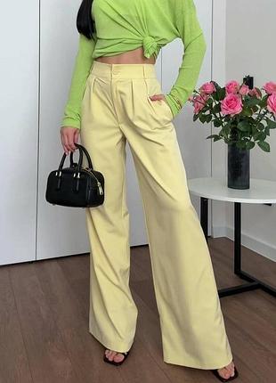 Стильні жіночі брюки mia-120