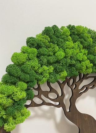 Панно з моху «дерево життя»3 фото