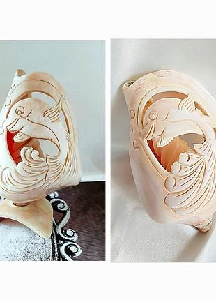 Мушля океанічна дельфін