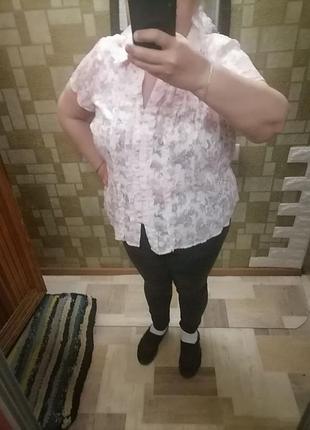 Блуза батал