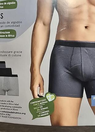 Мужские трусы боксеры xxl, мужественные трусы боксеры livergy нижняя3 фото