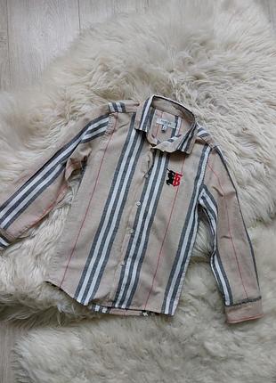 💜🧡🩵 суперська сорочка burberry