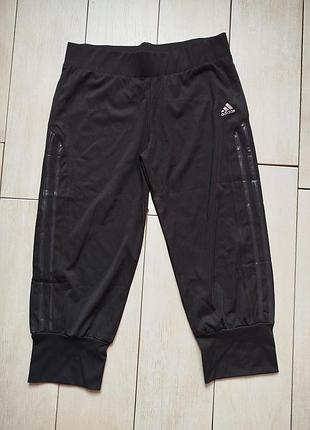 Жіночі каррі від adidas