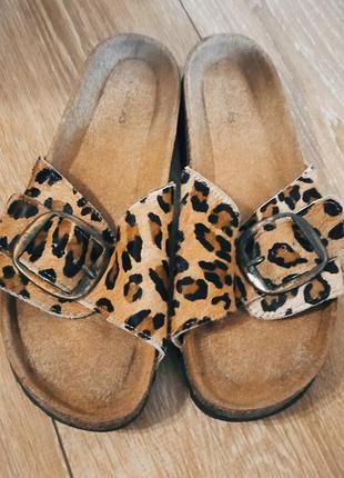 Шлепанцы сланцы