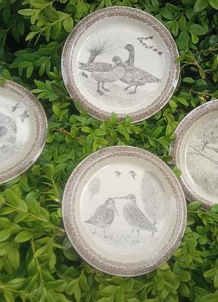 Тарелки коллекционные от thomas rosental с изображением разных птиц . продам сетом