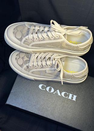 Кеди coach