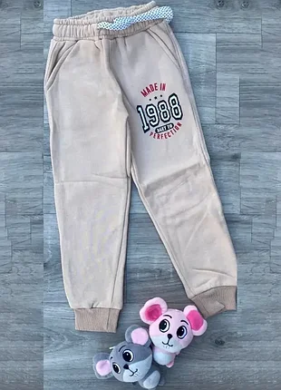 Детские спортивные штаны для мальчика partner с карманами трехнитка на флисе