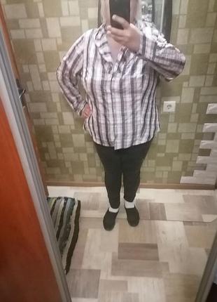 Блуза, сорочка батал