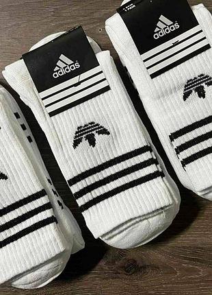 Чоловічі високі шкарпетки adidas