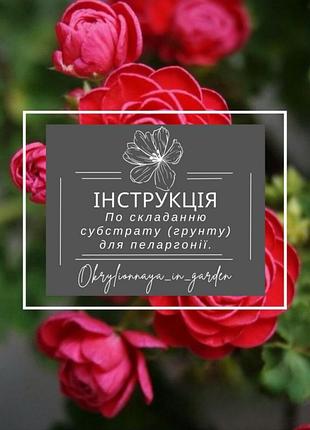 Пеларгонія.