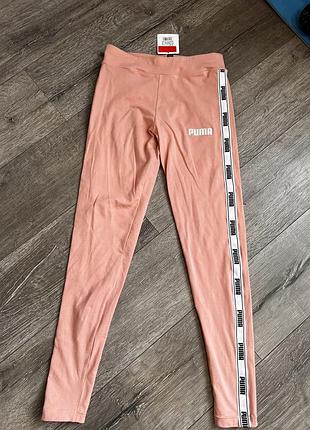 Лосіни puma