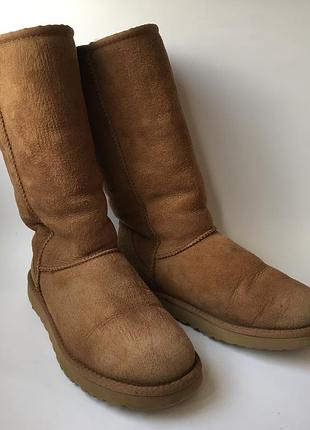 Женские замшевые сапоги угги высокие ugg натуральная овчина.