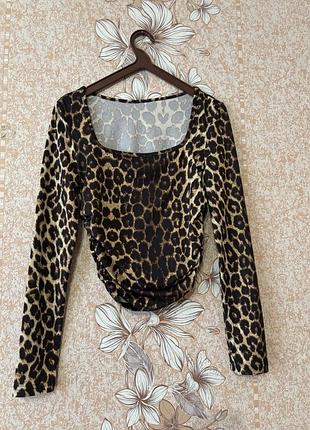 Тигрова кофтинка