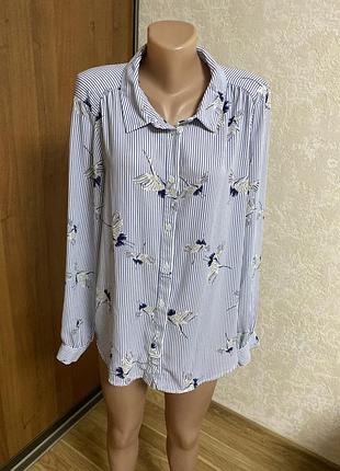 Жіноча сорочка msco р 52