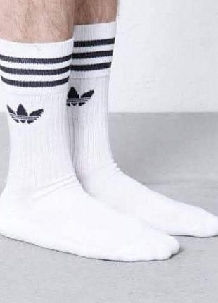 Белые высокие носки шкарпетки adidas performance